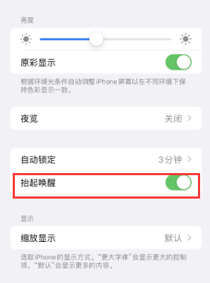 桦甸苹果授权维修站分享iPhone轻点无法唤醒怎么办