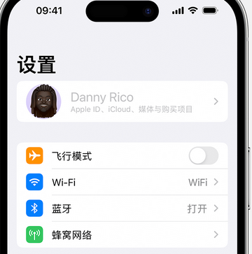 桦甸appleID维修服务iPhone设置中Apple ID显示为灰色无法使用 