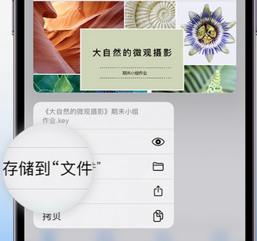 桦甸apple维修中心分享iPhone文件应用中存储和找到下载文件