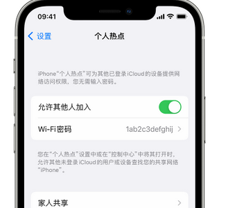 桦甸apple服务站点分享iPhone上个人热点丢失了怎么办 