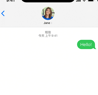 桦甸apple维修iPhone上无法正常发送iMessage信息