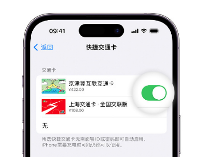 桦甸apple维修点分享iPhone上更换Apple Pay快捷交通卡手绘卡面 