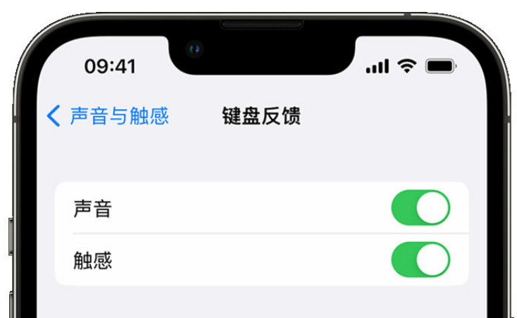 桦甸苹果手机维修分享iPhone 14触感键盘使用方法 