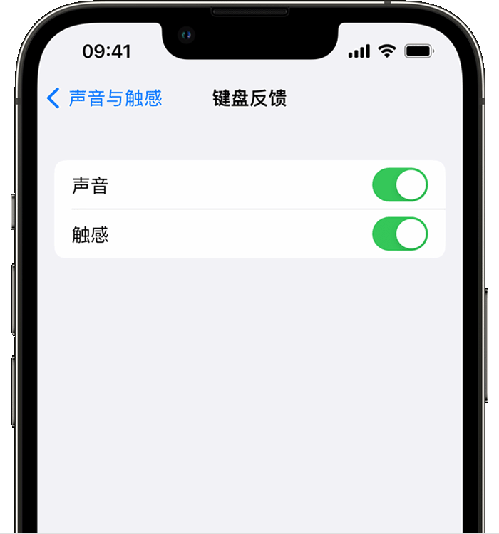 桦甸苹果14维修店分享如何在 iPhone 14 机型中使用触感键盘 