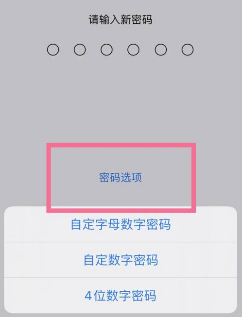 桦甸苹果14维修分享iPhone 14plus设置密码的方法 