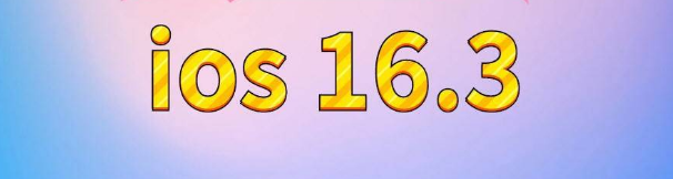 桦甸苹果服务网点分享苹果iOS16.3升级反馈汇总 