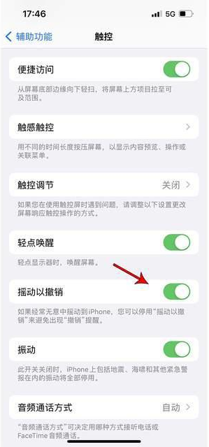 桦甸苹果手机维修分享iPhone手机如何设置摇一摇删除文字 