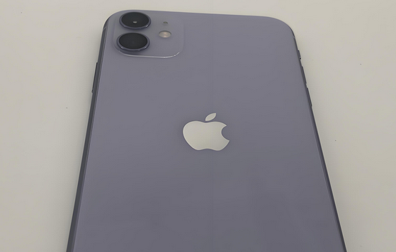 桦甸苹果11系统维修分享iPhone11手机系统崩溃无法开机如何解决 